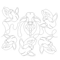 brahman e2e 002